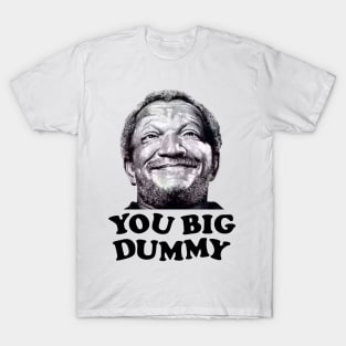 FUNNY YOU BIG DUMMY T-Shirt